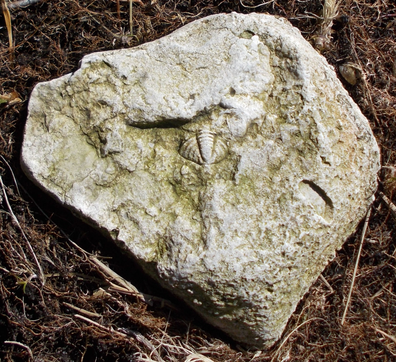 CALYMENE spacer 